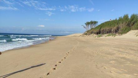 WhatsApp Image 2024-10-04 at 14_44_18_cc1b0ad9 - C